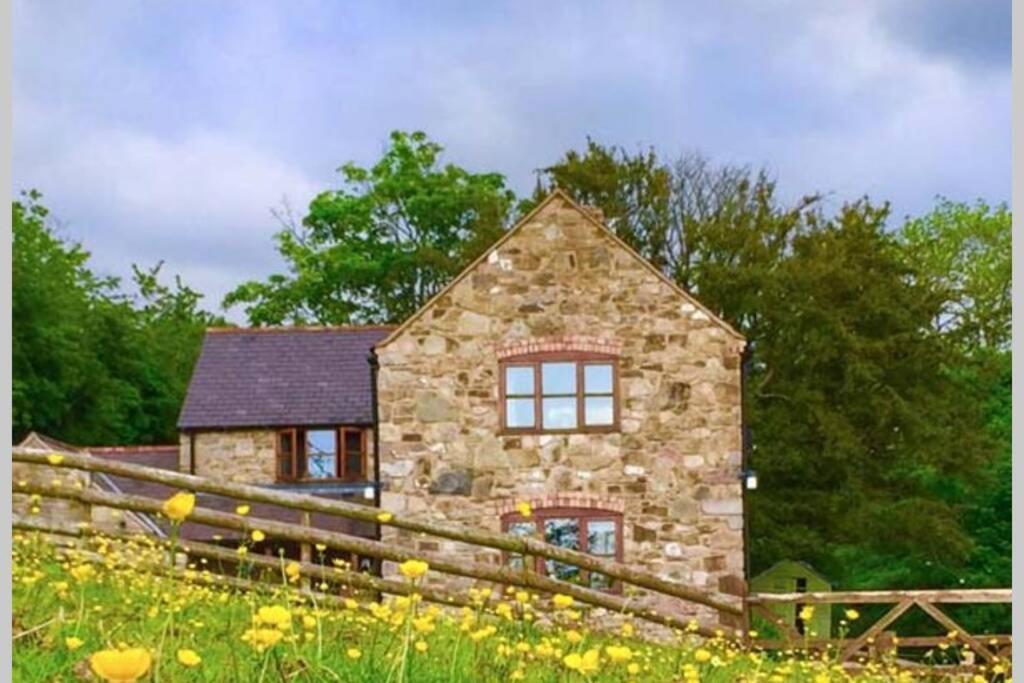 Coed Y Gaer