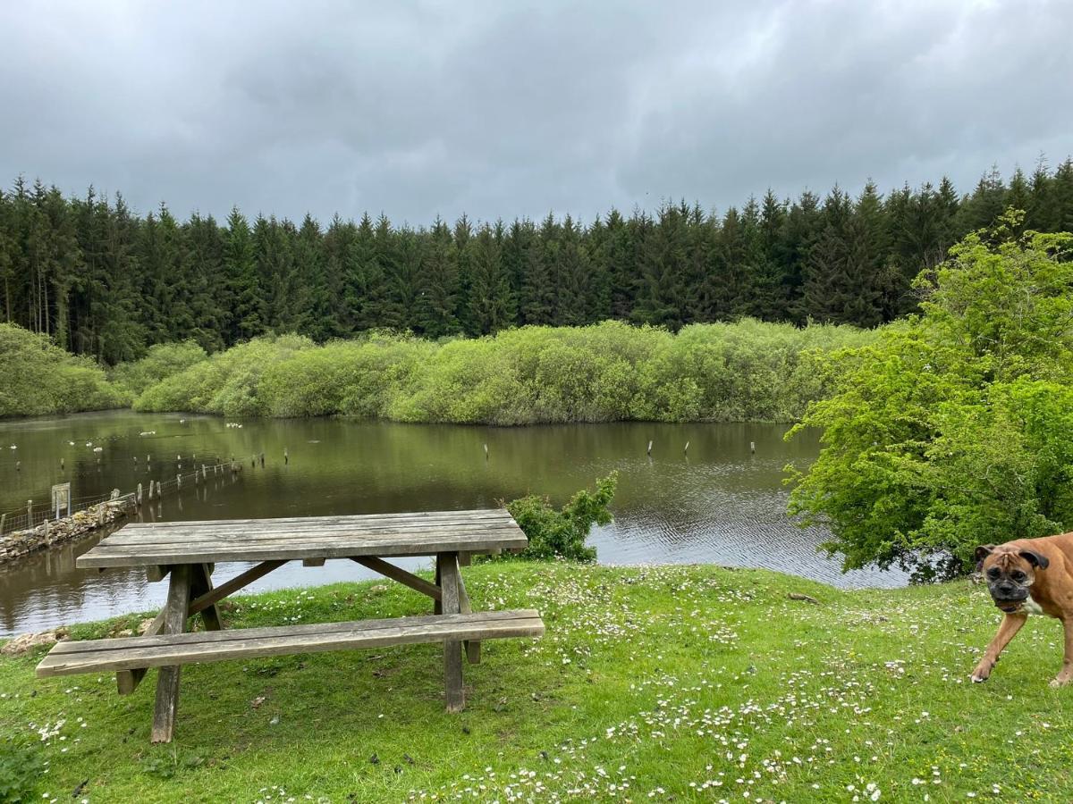 Coed Y Gaer Llansilin